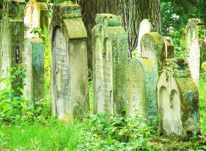 Hebräische Grabsteine Bechhofen Friedhof
