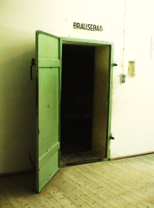 Dachau Brausebad shower door